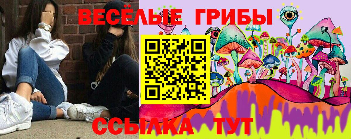 Псилоцибиновые грибы MAGIC MUSHROOMS Химки