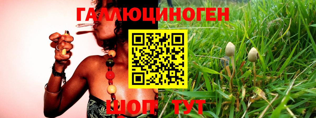 Химки  Псилоцибиновые грибы мухоморы  Галлюциногенные грибы мицелий  Вход с VPN 